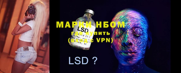прущие грибы Алексин